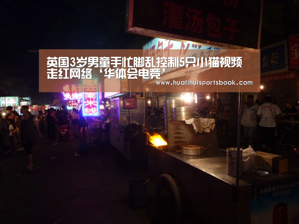英国3岁男童手忙脚乱控制5只小猫视频走红网络‘华体会电竞’(图1) 华体会平台