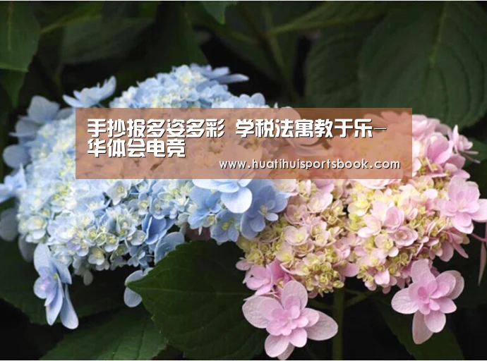 手抄报多姿多彩 学税法寓教于乐-华体会电竞(图2) 华体会体育