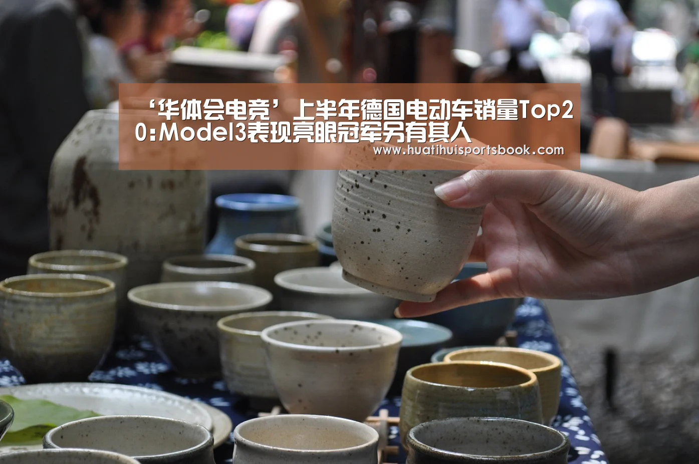 ‘华体会电竞’上半年德国电动车销量Top20:Model3表